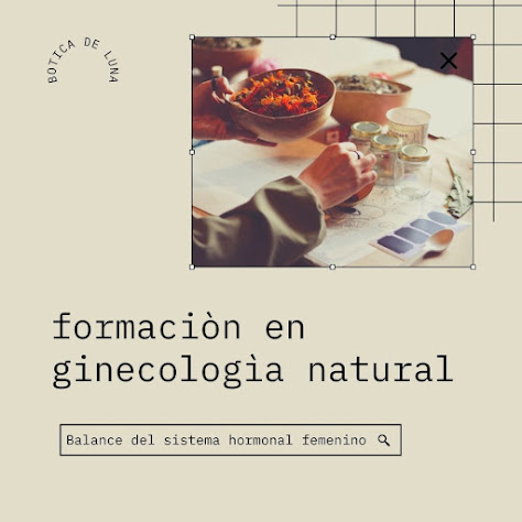 Formación en Ginecología Natural. Ultimo encuentro del 2022